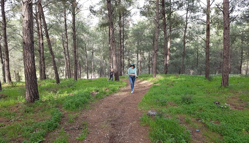 قرية شعب المهجرة  / عكا